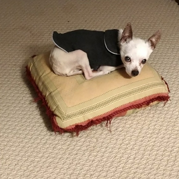 Meet your Posher, Wanda - Picture 1 of 1